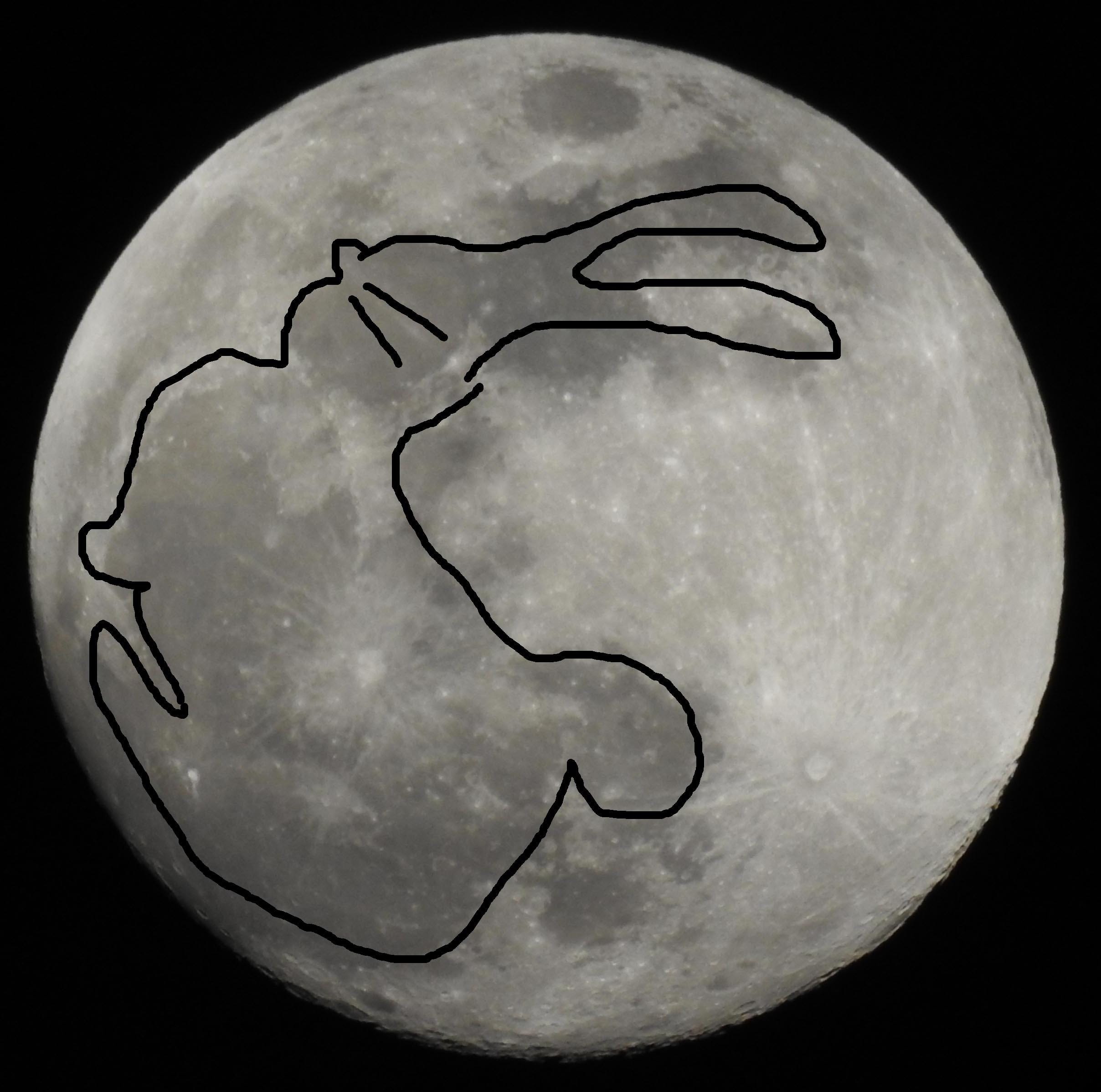 "Měsíční králík"